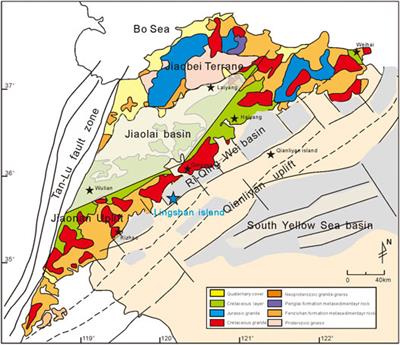 Depositional Setting and Enrichment Mechanism of Organic Matter of Lower Cretaceous Shale in Ri-Qing-Wei Basin in the Central Sulu Orogenic Belt